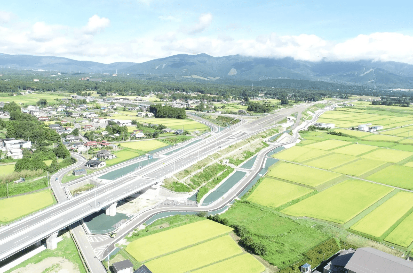 田んぼと道路の写真